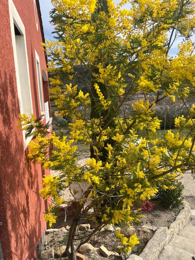 Le Gite Du Vigneron Lagorce  Esterno foto