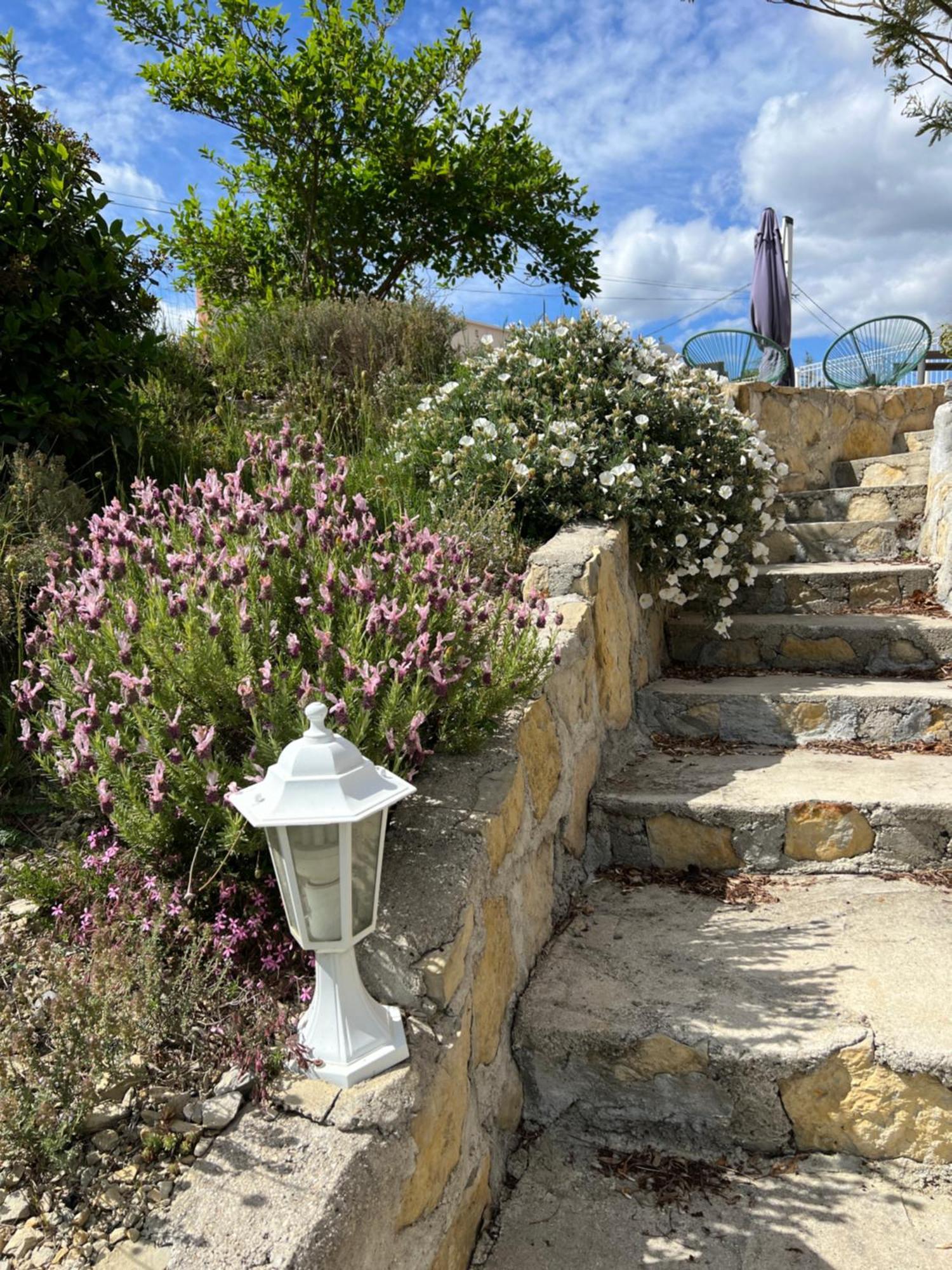 Le Gite Du Vigneron Lagorce  Esterno foto